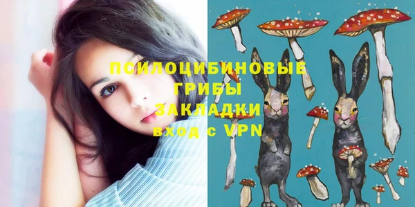 таблы Армянск