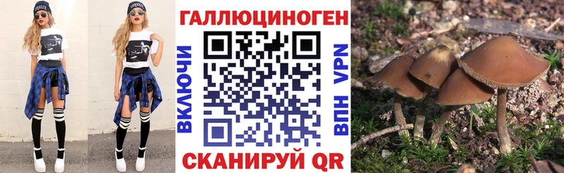 МЕГА ссылка  Сосновый Бор  Псилоцибиновые грибы Psilocybe  закладки 