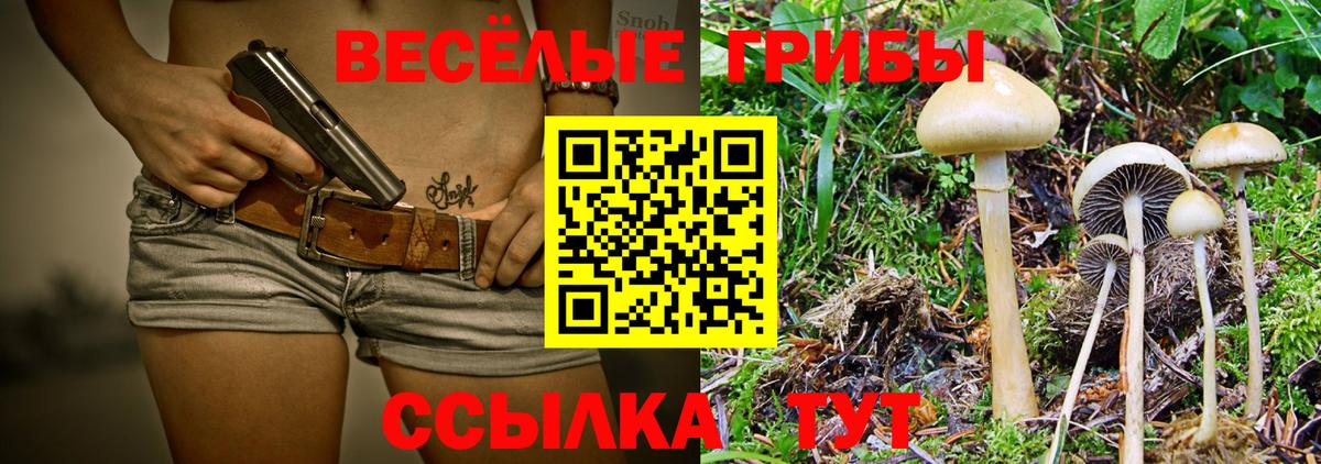 Галлюциногенные грибы MAGIC MUSHROOMS  Вход с VPN  наркошоп  Сосновый Бор 