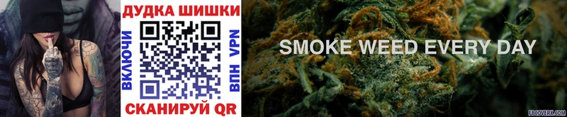 Бошки марихуана Bruce Banner  магазин    Сосновый Бор 